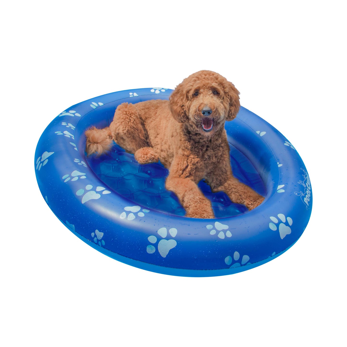 Inflatable Dog Pool Float Large Size