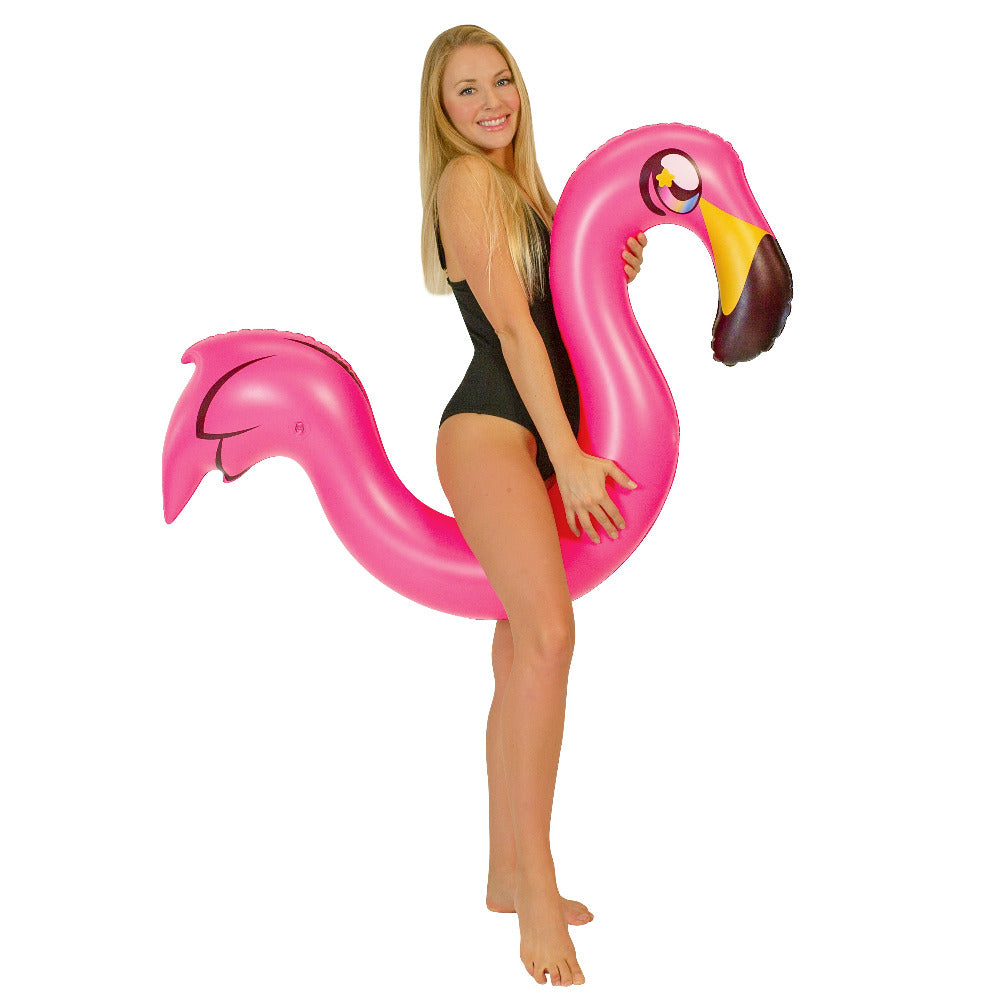 Flamingo Ride-On Noodle Pool Tube