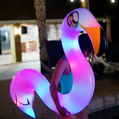 Illuminated Flamingo Ride-On Noodle