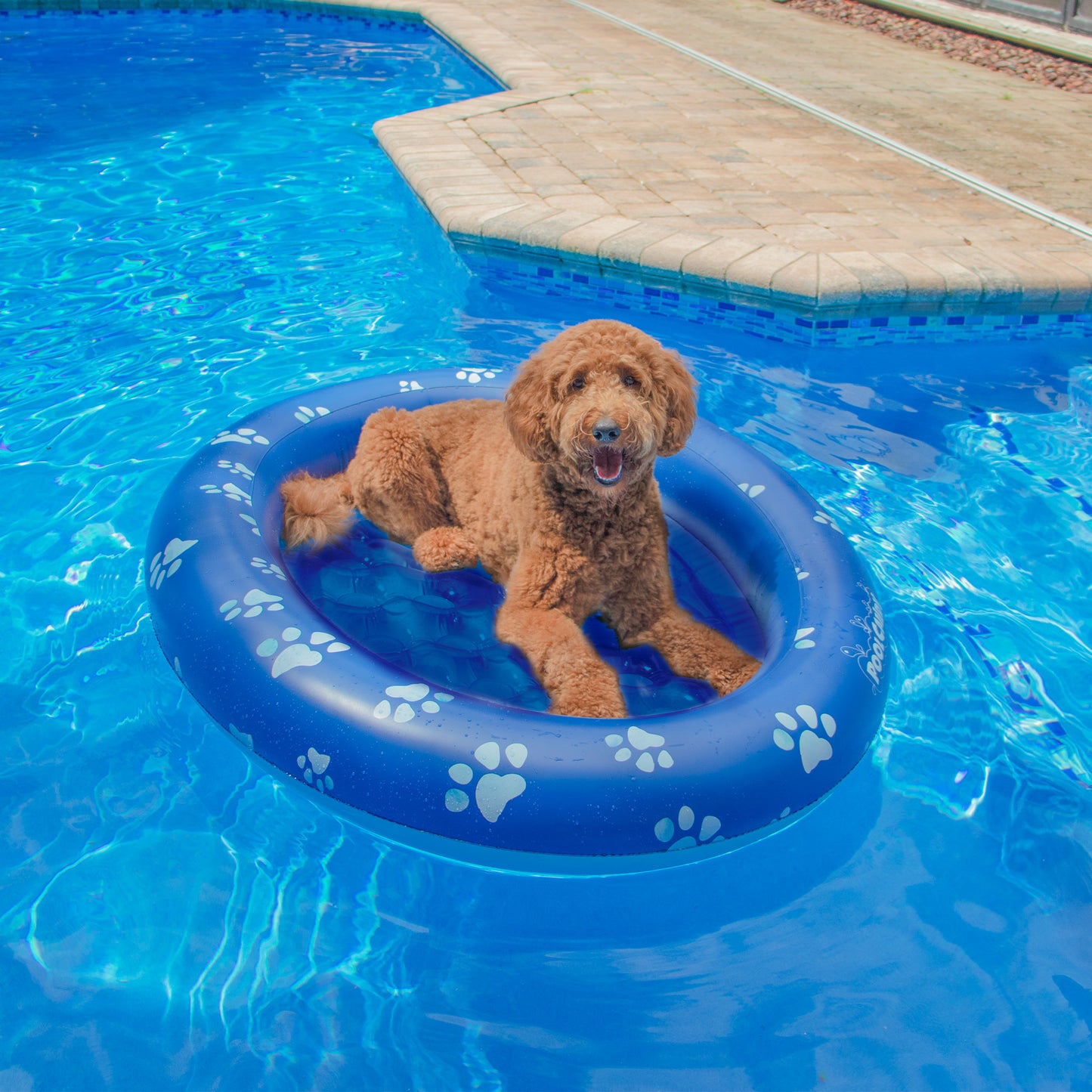 Inflatable Dog Pool Float Large Size