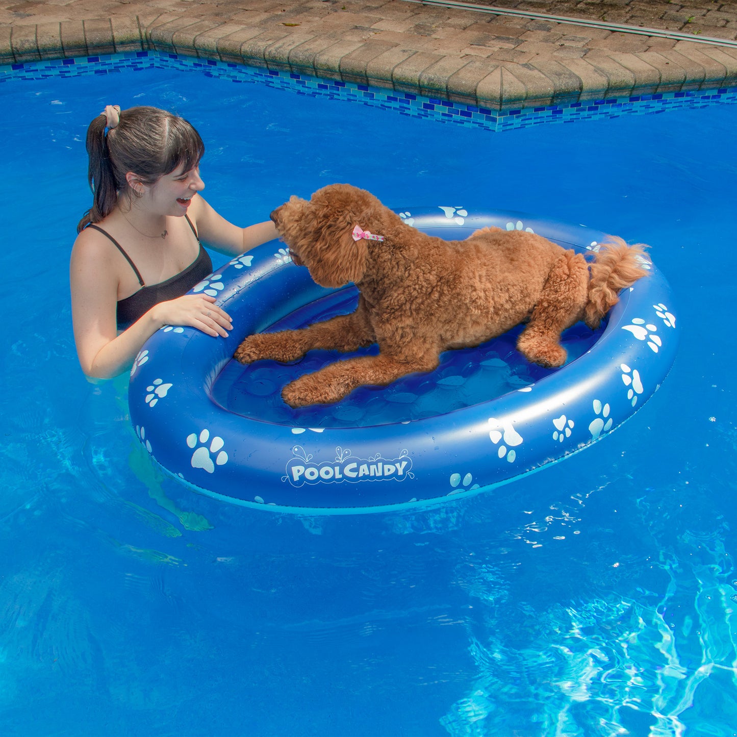 Inflatable Dog Pool Float Large Size