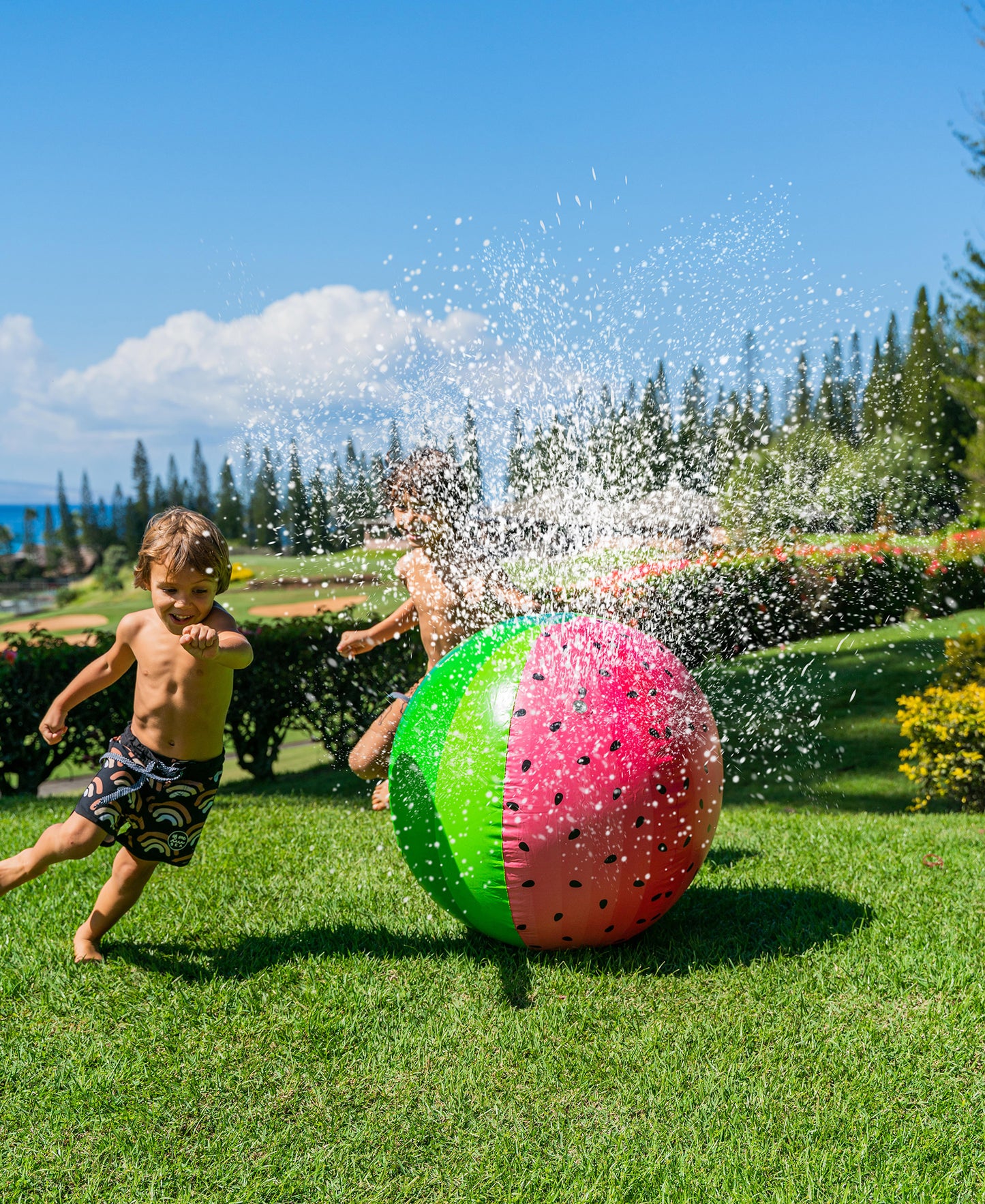 Giant Watermelon Beach Ball Sprinkler