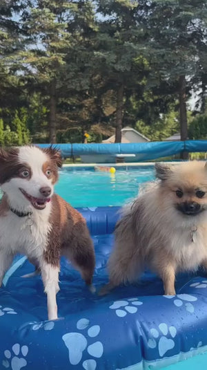 Inflatable Dog Pool Float Large Size