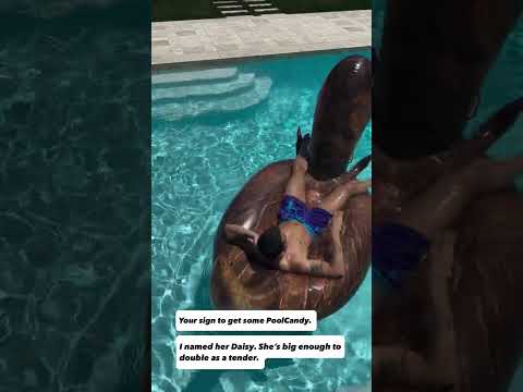 Gigantic T-Rex 2-3 Person Pool Float