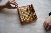 BrainCandy Wooden Travel Games Wooden Chess Game Set