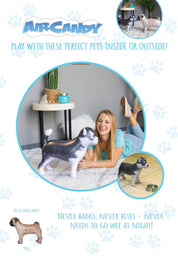 Inflatable Dog Husky the perfect pet AirCandy