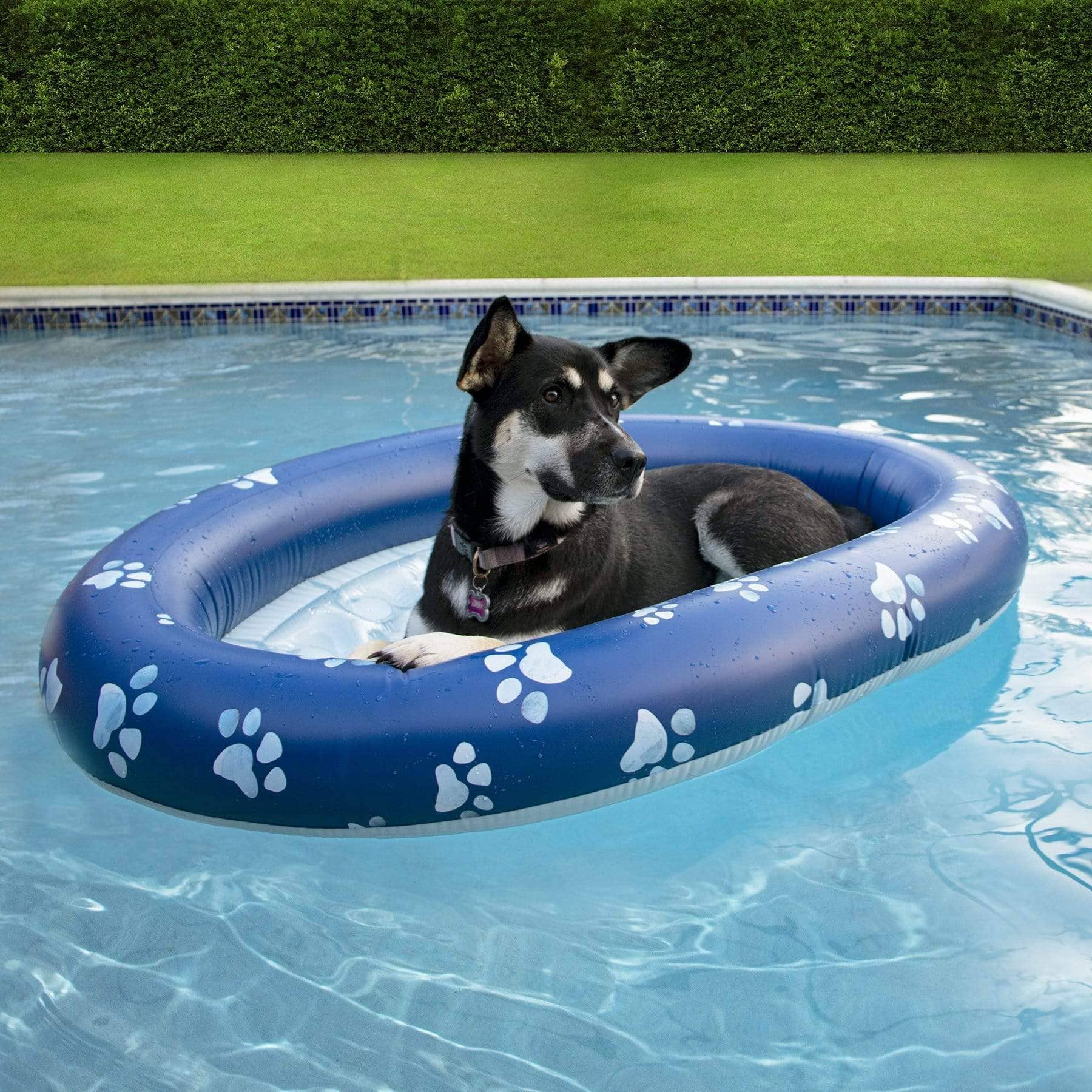 Inflatable Dog Pool Float Large Size – PoolCandy