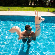 Inflatable Ride-On Pool Noodle Llama Animal